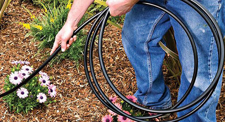 Someone placing drip irrigation hosing through a flower garden.