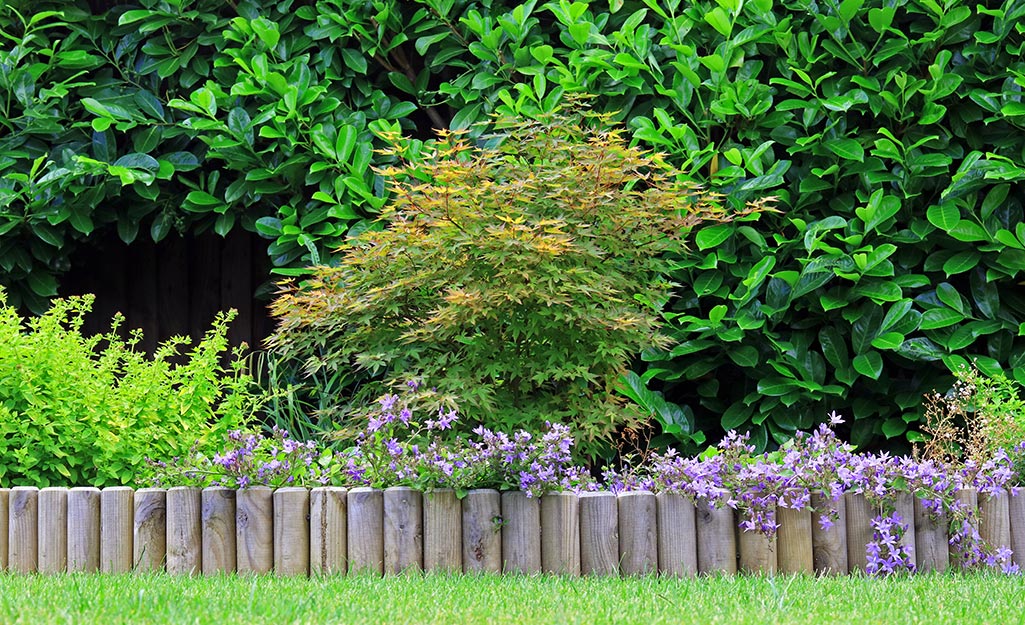 Wood post edging surrounding a wild flower garden.
