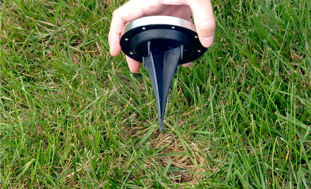 A person about to stake a solar landscape light into a yard.