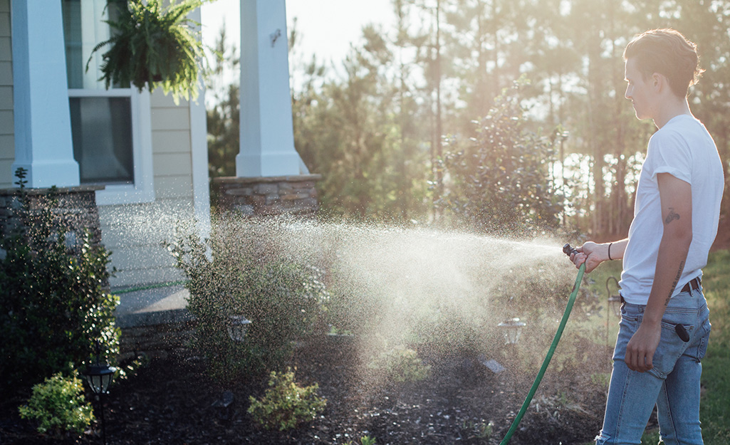 A person watering an edged area.