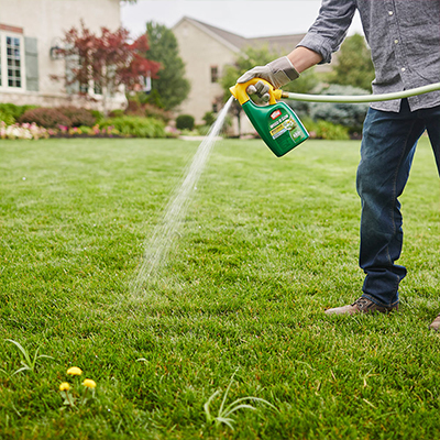 How to Kill Weeds in Your Lawn