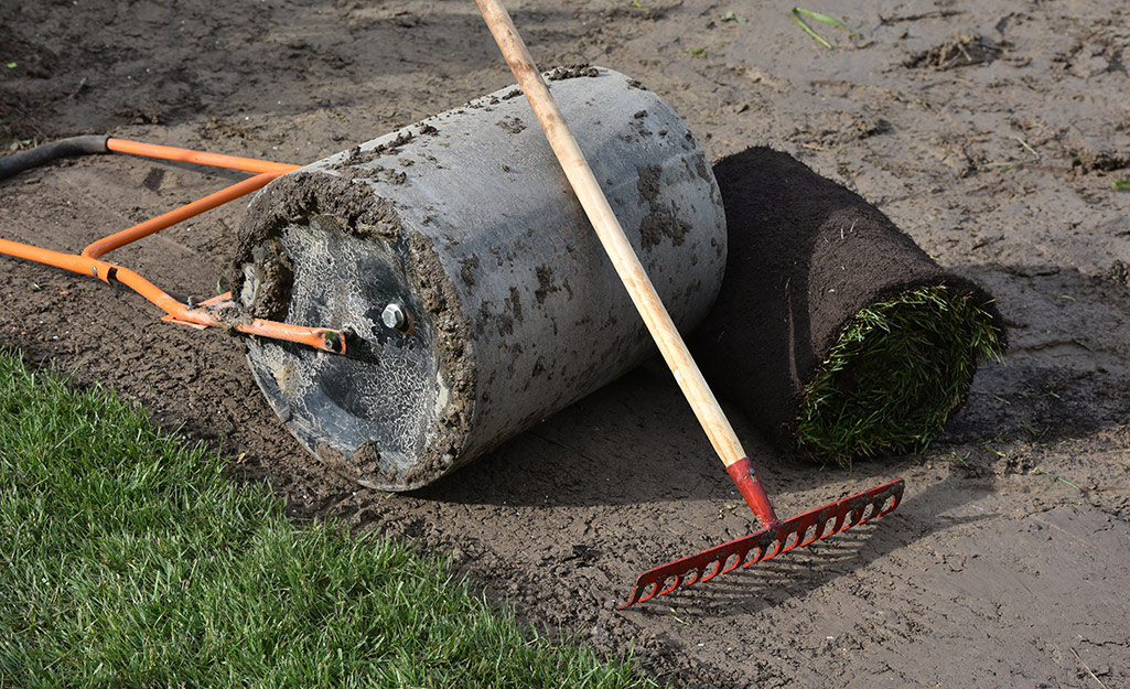 A bare patch of lawn with a roller, roll of sod and a rake.