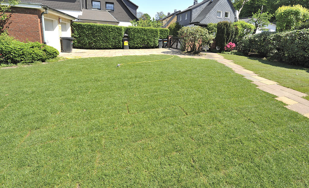 A front lawn filled with rows of sod.
