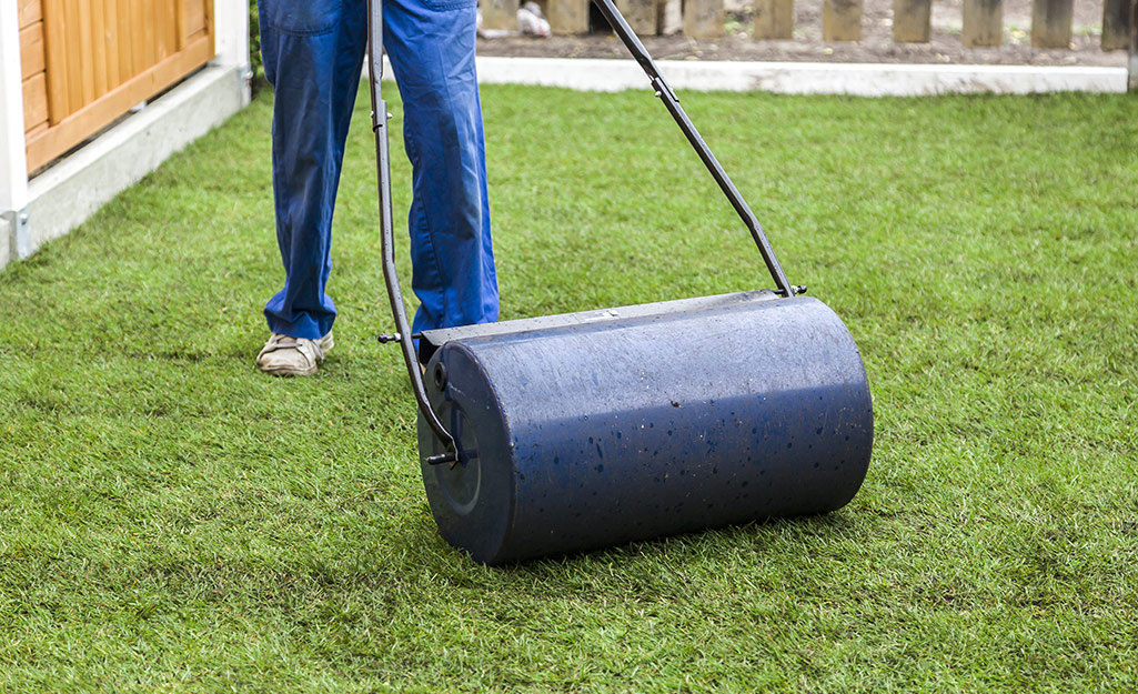 Someone using a roller to push new sod into the ground.