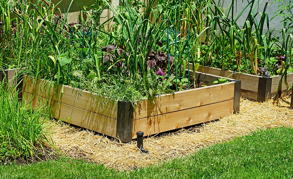 How To Maintain A Raised Garden Bed, What Do You Line A Raised Garden Bed With Drawers