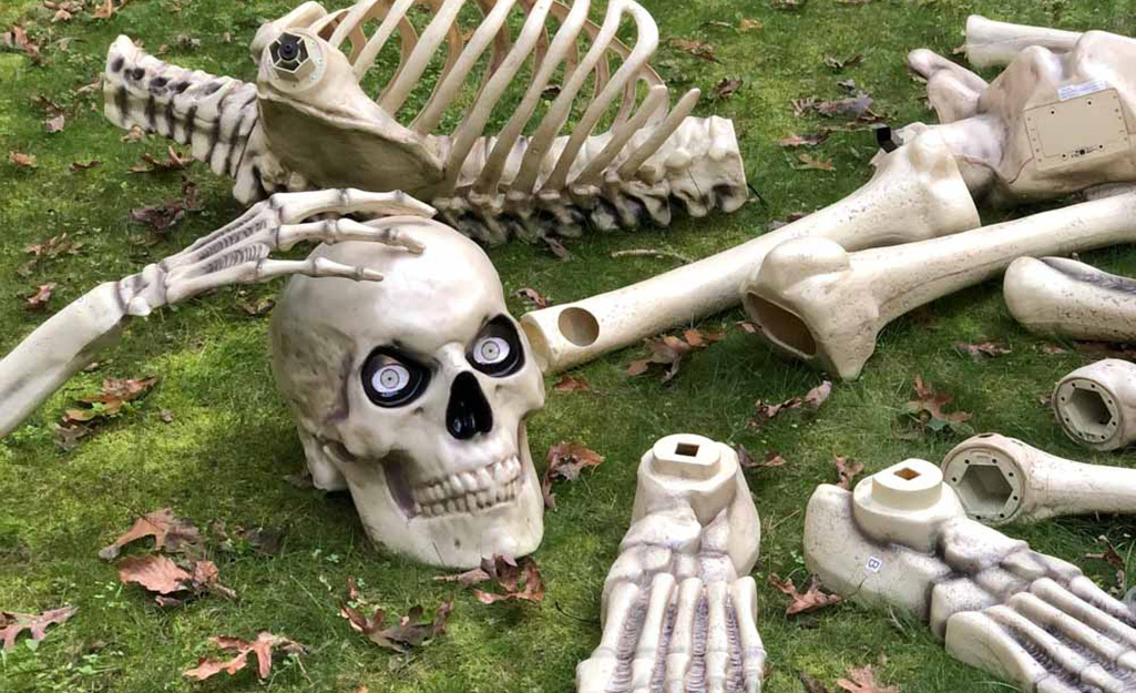 Skeleton pieces laid out on a lawn and ready for assembly.