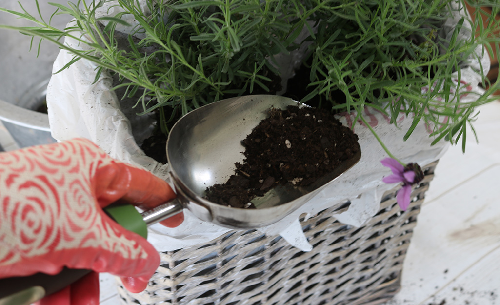 Plant Your Basket Wreath
