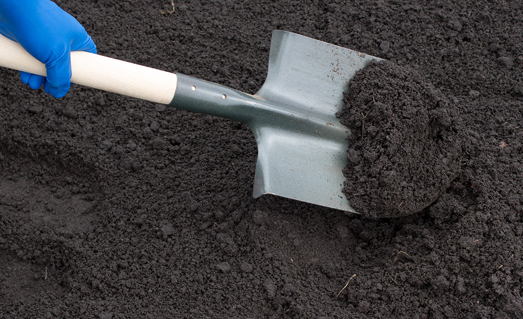 Someone using a shovel to dig out space for a bog garden. Someone using a shovel to dig out space for a bog garden.