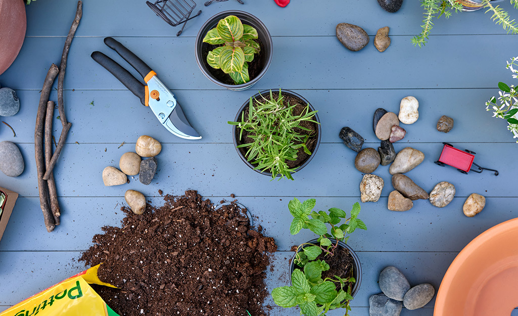 Plants, soil, rocks and other items for a fairy garden.