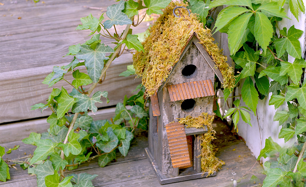 A fairy garden birdhouse sits on an outdoor step.