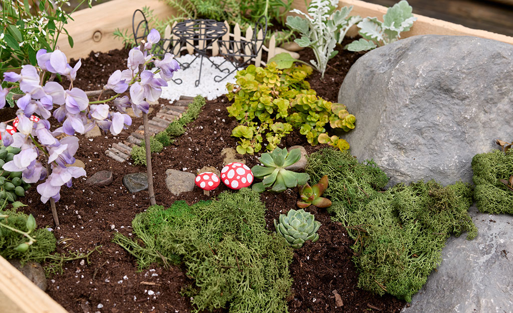 A fairy garden with succulents, flowers and tiny furniture.