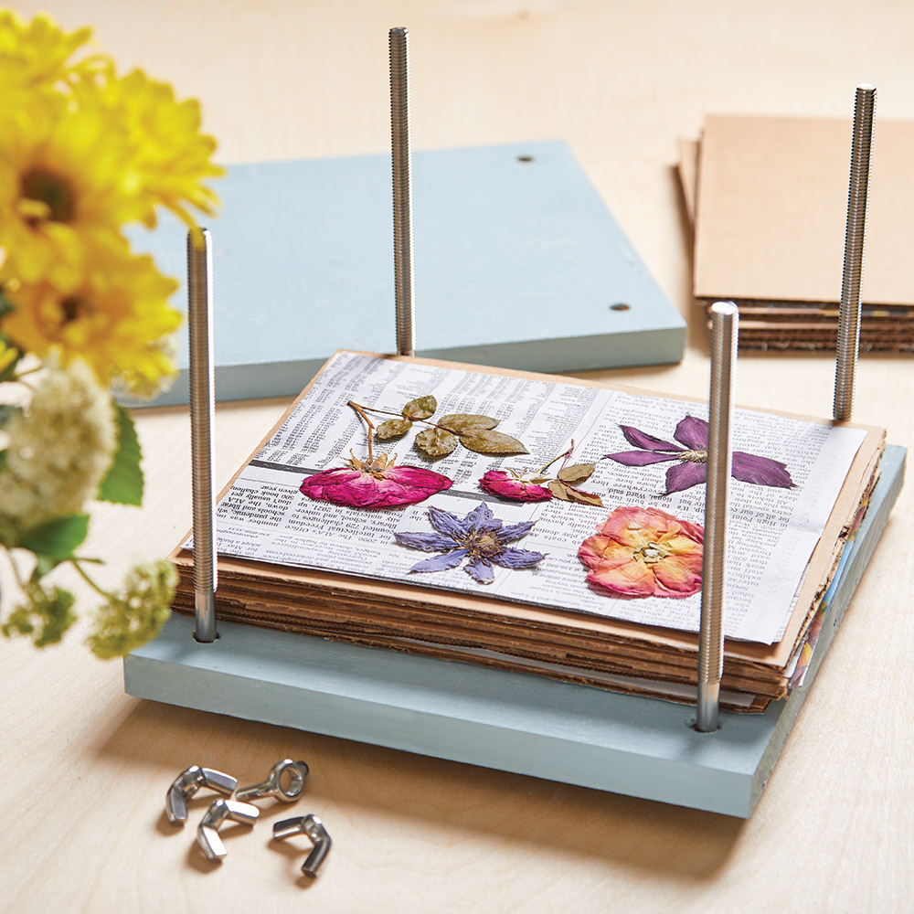 Dried flowers lay on top of newspapers and cardboard that are part of a flower press.