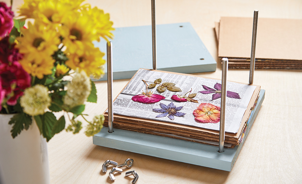 Dried flowers lay on top of newspaper and cardboard between the four long bolts of a flower press.