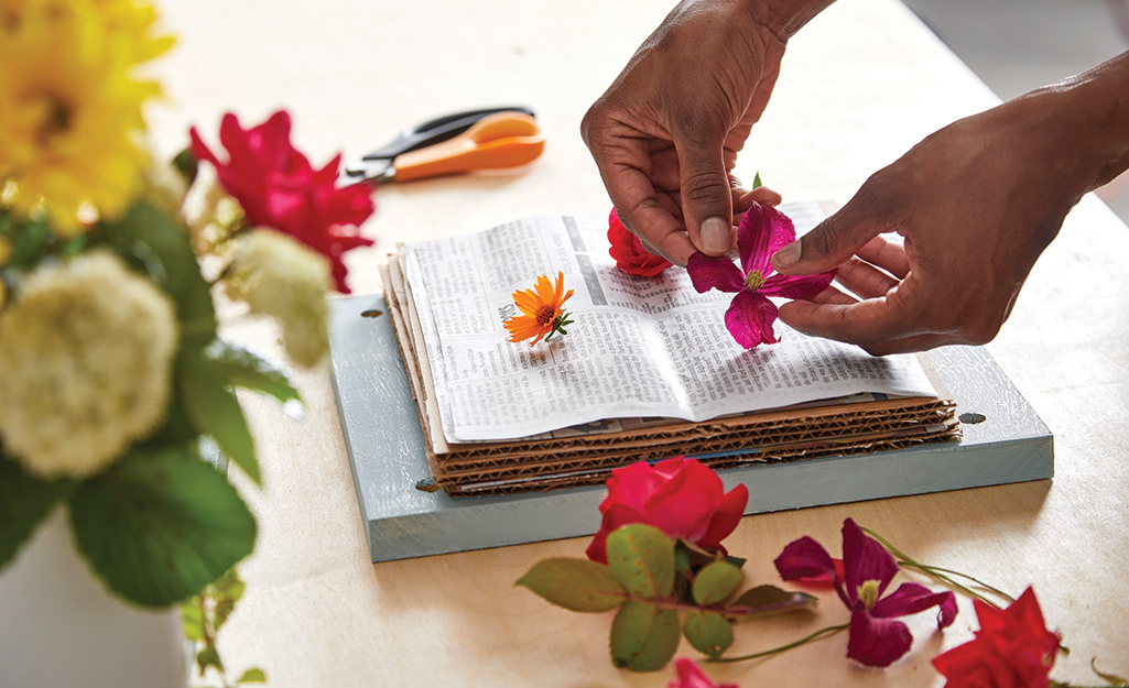 A person places fresh flowers on a piece of newspaper on top of a stack of cardboard in a flower press.