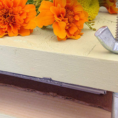 Trees The Home Depot