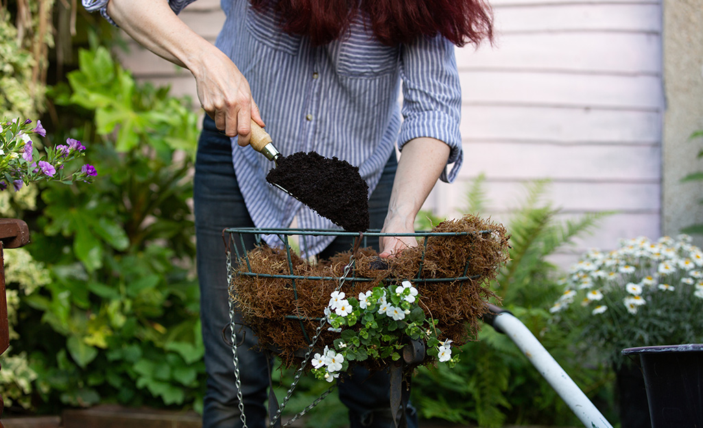 Gardener filling hanging basket with soil