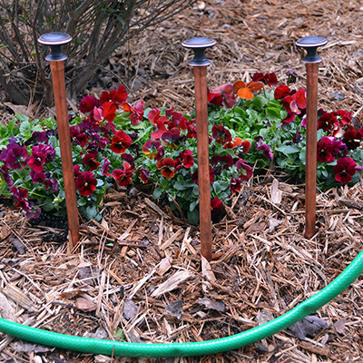 How to Make a Hose Guide to Protect Your Flowers