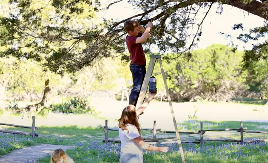 A boy hanging a bird house onto a tree branch.