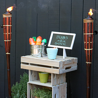 How to Make a Mosquito Repellent Station