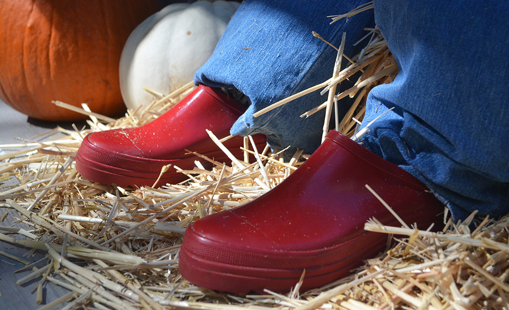 Red garden shoes are used as the scarecrow's feet. 
