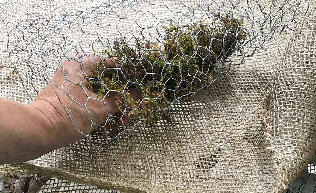 Person placing moss inside the chicken wire.