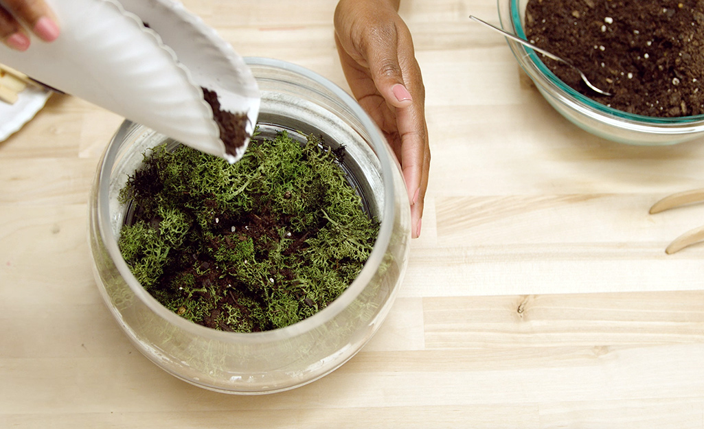 A woman adds soil and moss into a terrarium 