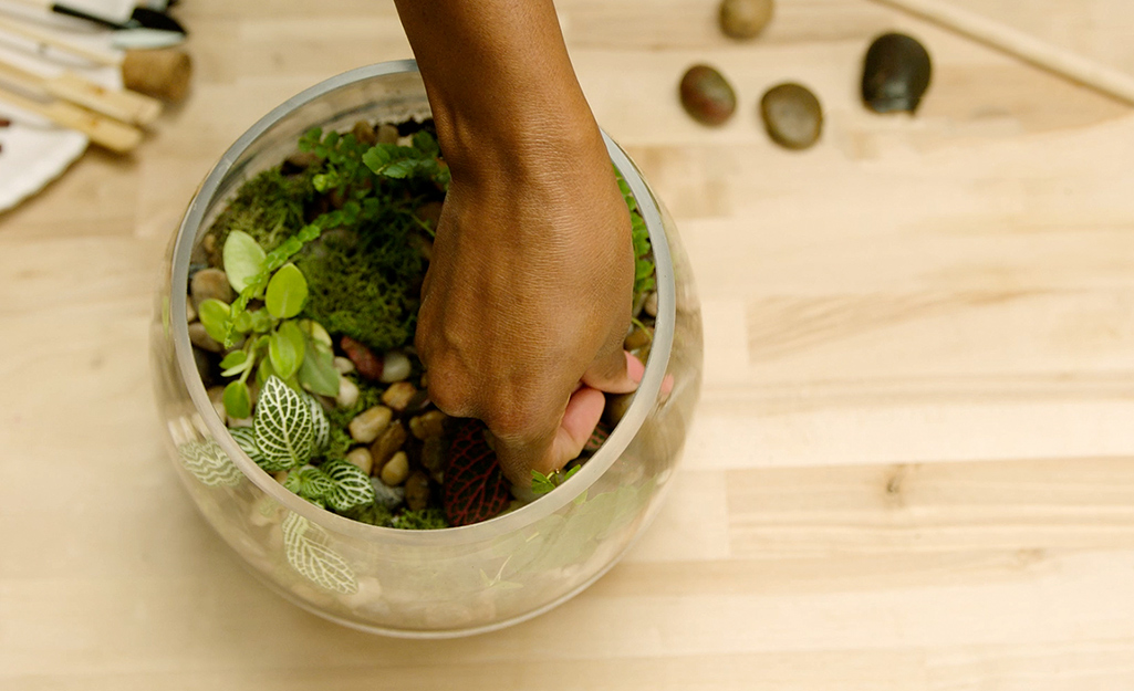 A person adds accents into the terrarium. 