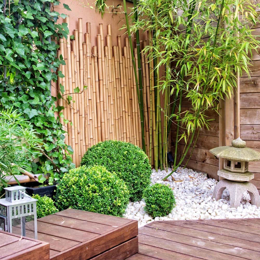 A Zen garden with crushed white gravel, three rounded shrubs and a stone Pagoda lantern.