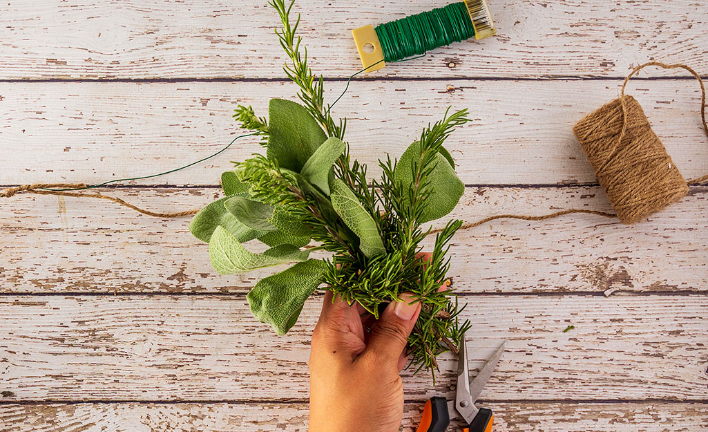 Person bundles together the herbs.