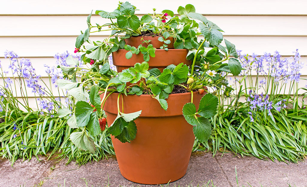 How to Make an Herb Garden in a Tower Container The Home Depot