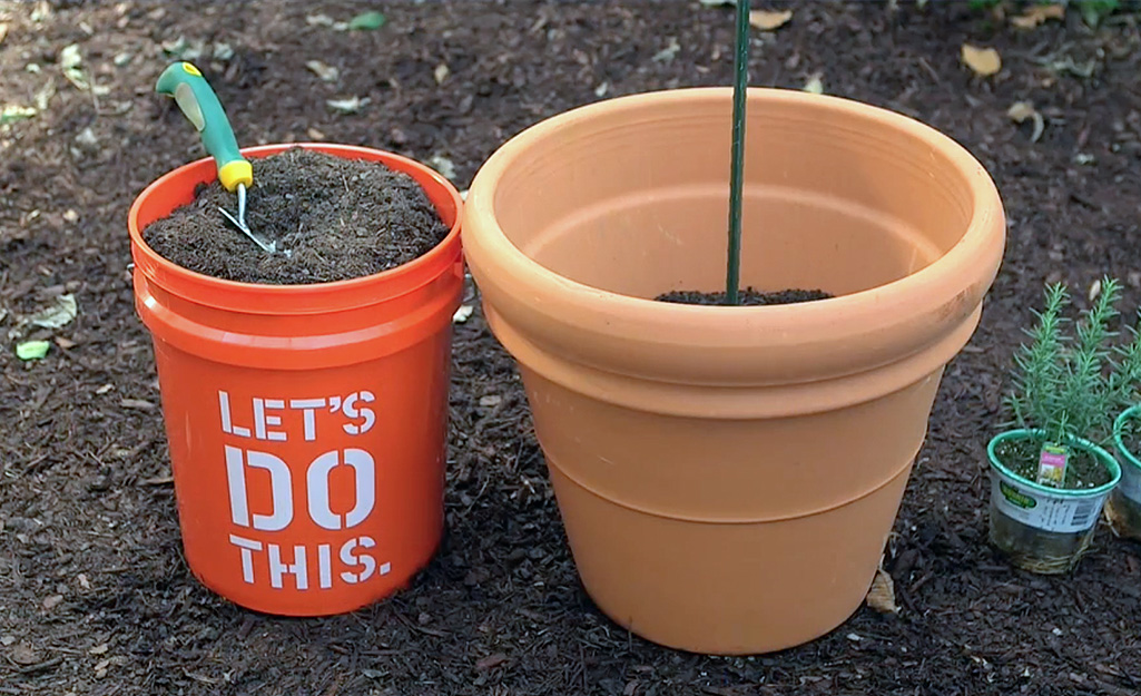 Homer bucket with soil for terra cotta container Homer bucket with soil for terra cotta container