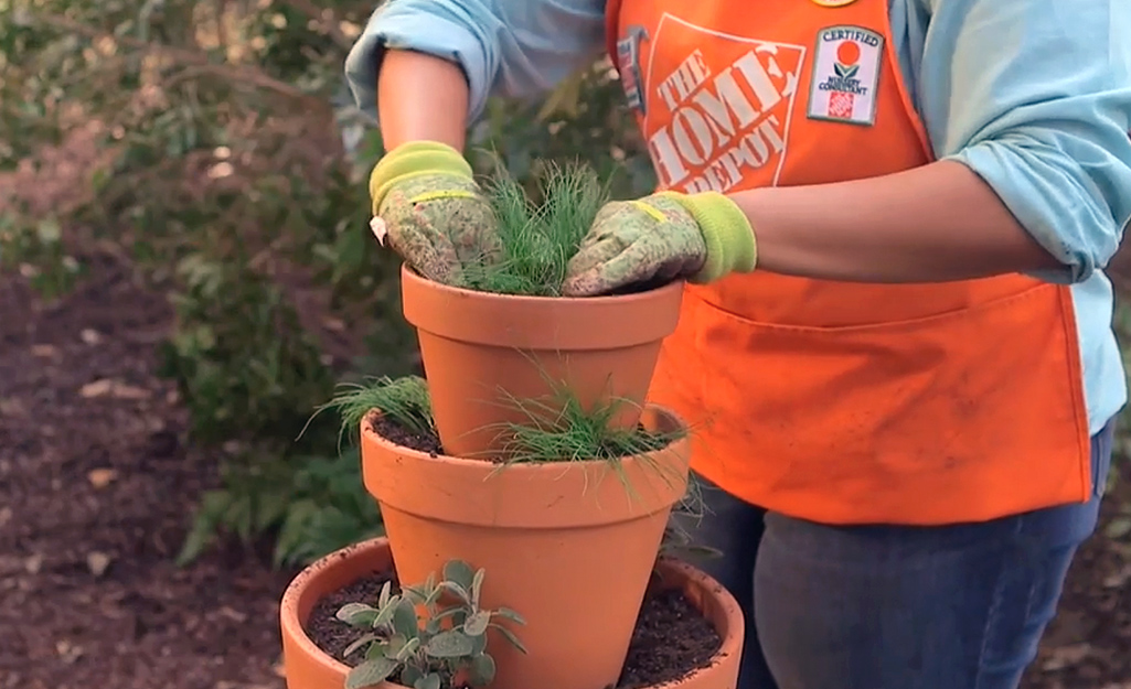 Gardener tucks sheet moss in container Gardener tucks sheet moss in container