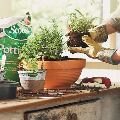 How To Make Your Own Indoor Herb Garden The Home Depot