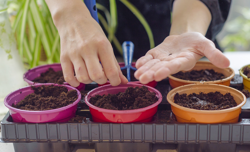 Someone planting herb seeds in six different colored pots.