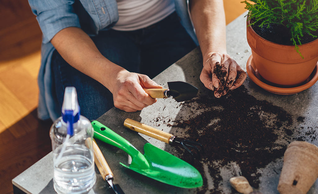 Someone using trowels, a spray bottle of water and other small gardening tools to plant herbs for an indoor herb garden.