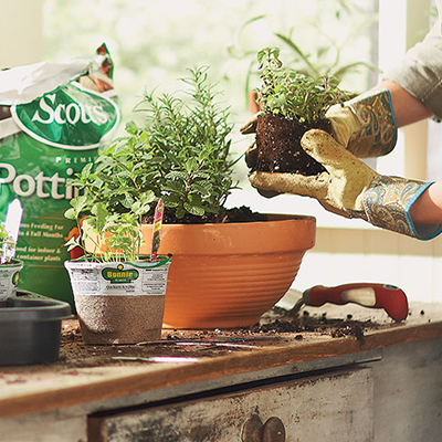 How to Make Your Own Indoor Herb Garden