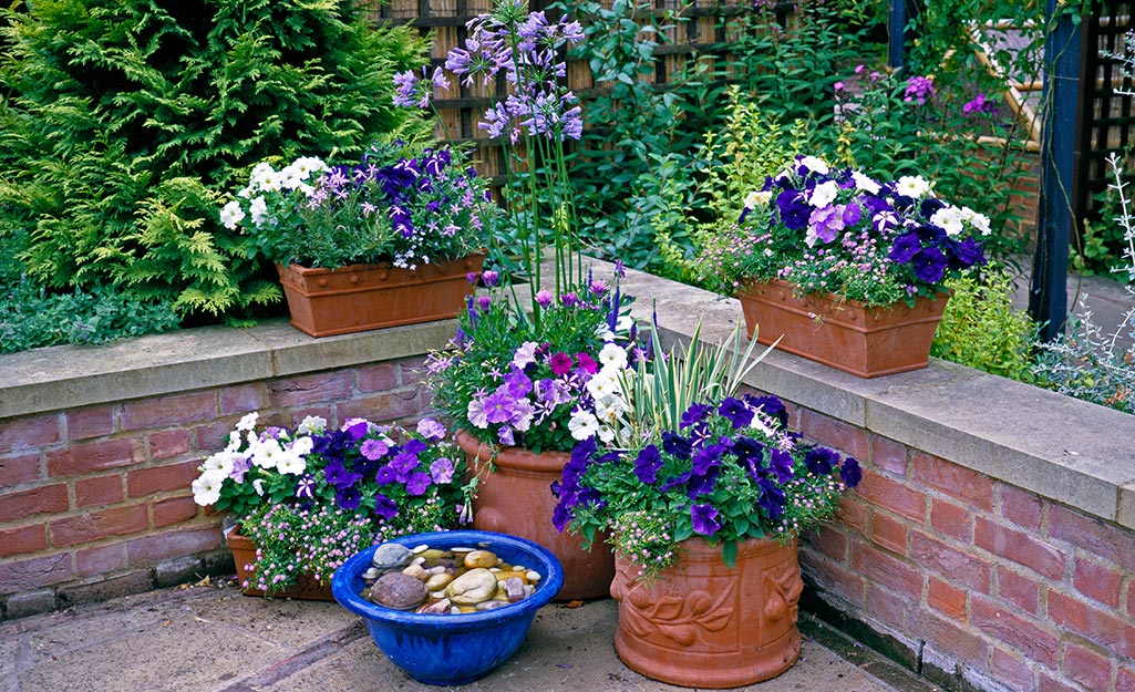 How to Fill a Big Flower Pot in 6 Steps - Garden Patch