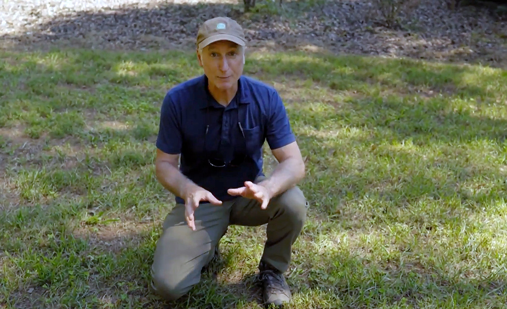 A person examining a lawn.