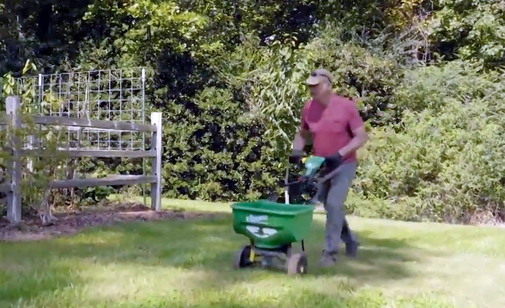 A person scattering grass seed with a spreader.