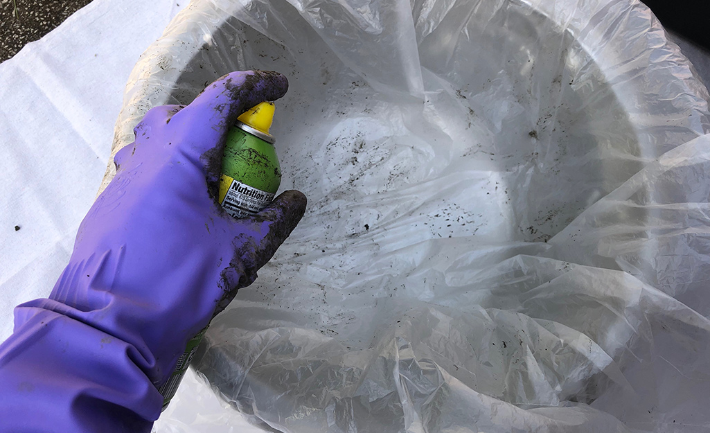 A gardener sprays cooking spray in the hypertufa mold.