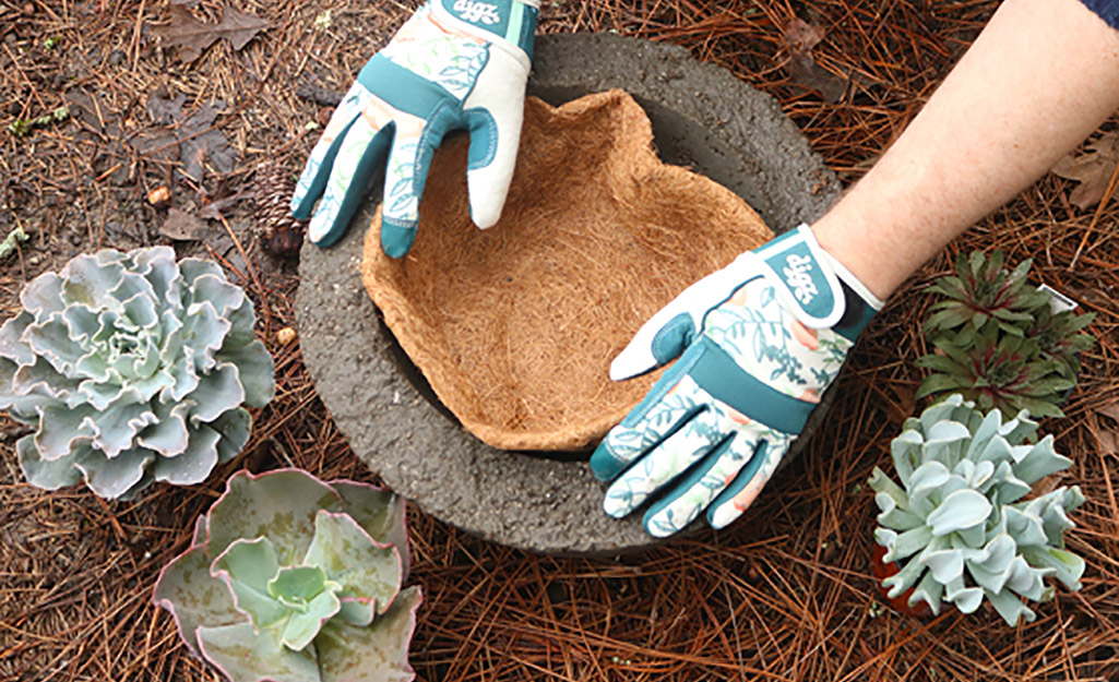 A gardener places a coco liner in a rustic hypertufa planter.