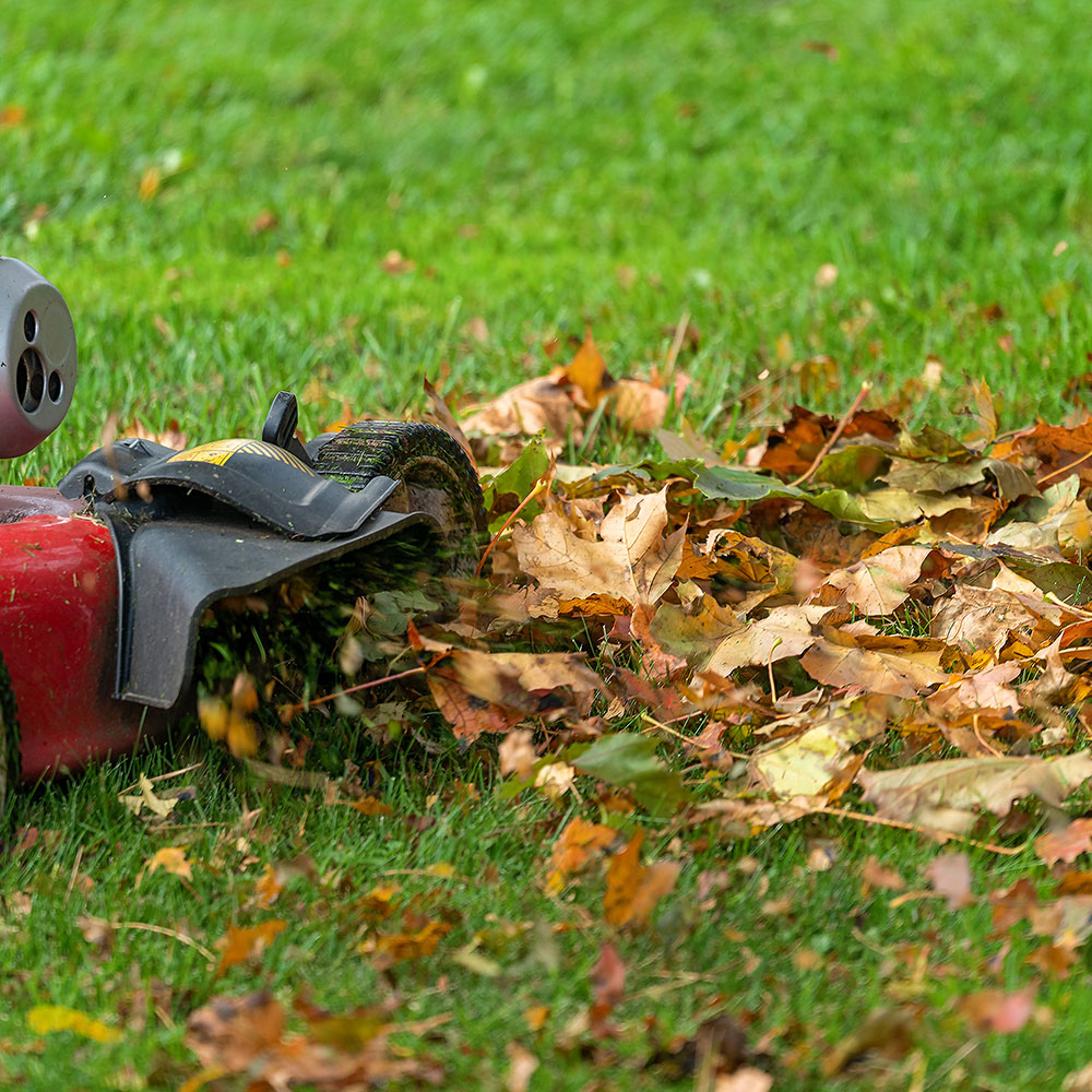 https://contentgrid.homedepot-static.com/hdus/en_US/DTCCOMNEW/Articles/how-to-make-mulch-with-leaves-hero-A.jpg