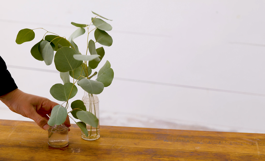 Two vases with foliage are added to a tabletop. Two vases with foliage are added to a tabletop.