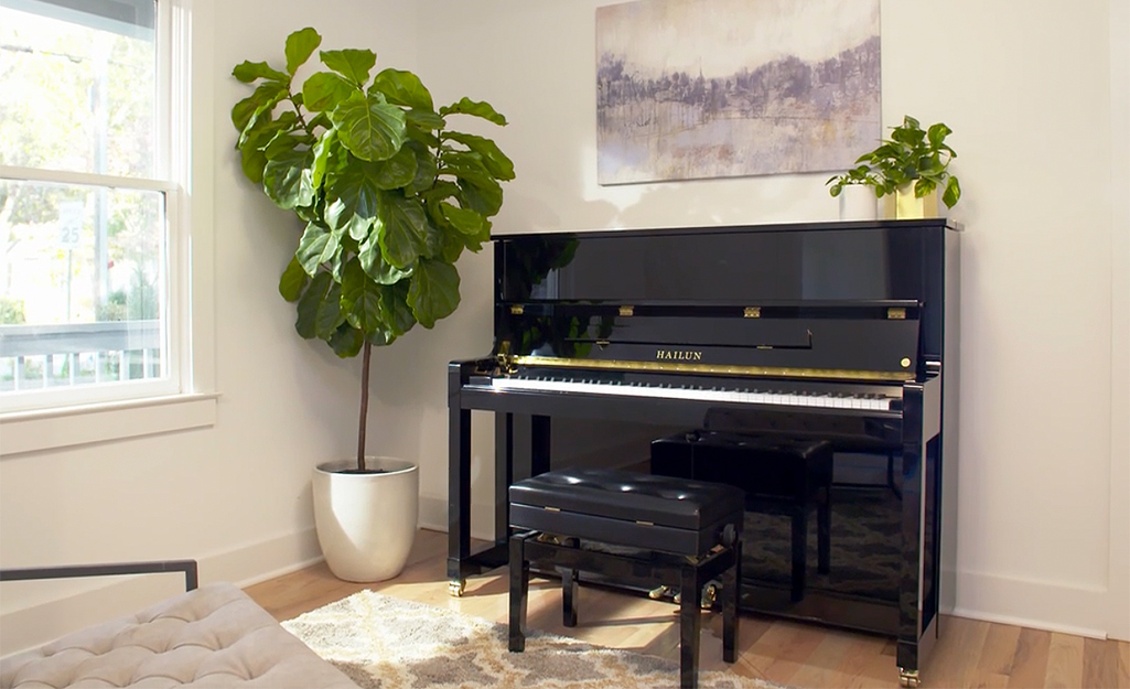 Sunlight comes through a window and shines on an upright piano with a bench that stands next to a large potted plant.  