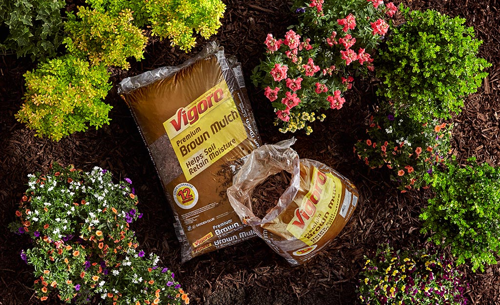 Bags of brown mulch resting in a mulched garden bed.