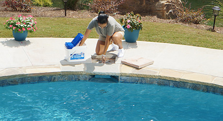 Sanitize and shock the water Sanitize and shock the water