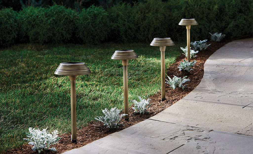 Solar lights and mulch form an edge along a walkway.