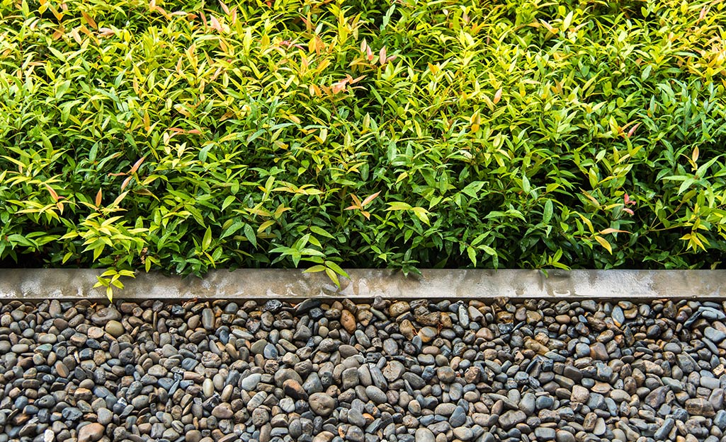 Stone-look no-dig edging separates gray landscaping rocks from green shrubs.