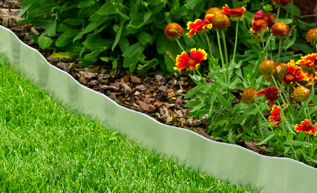 Nylon flexible strip edging forms a vertical edge in a garden.