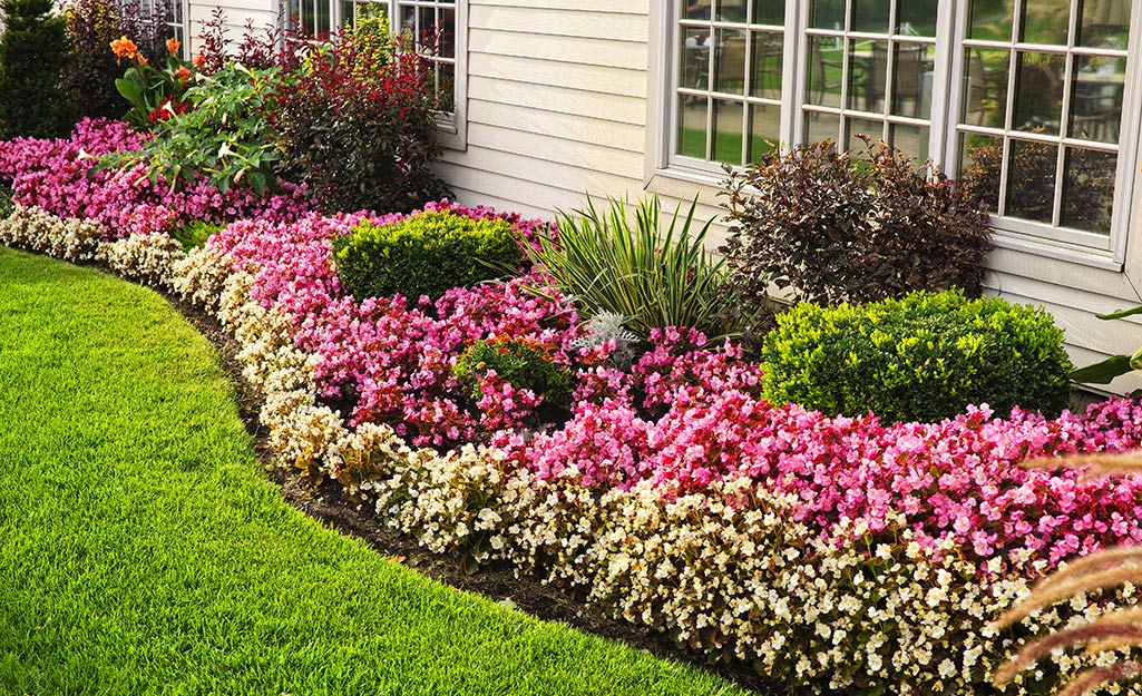 A narrowly mulched edge borders a wide flower border.